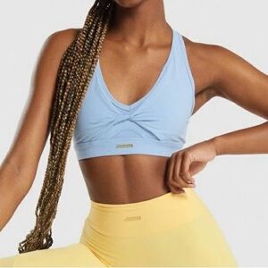 Whitney Simmons V3 sports bra in blue